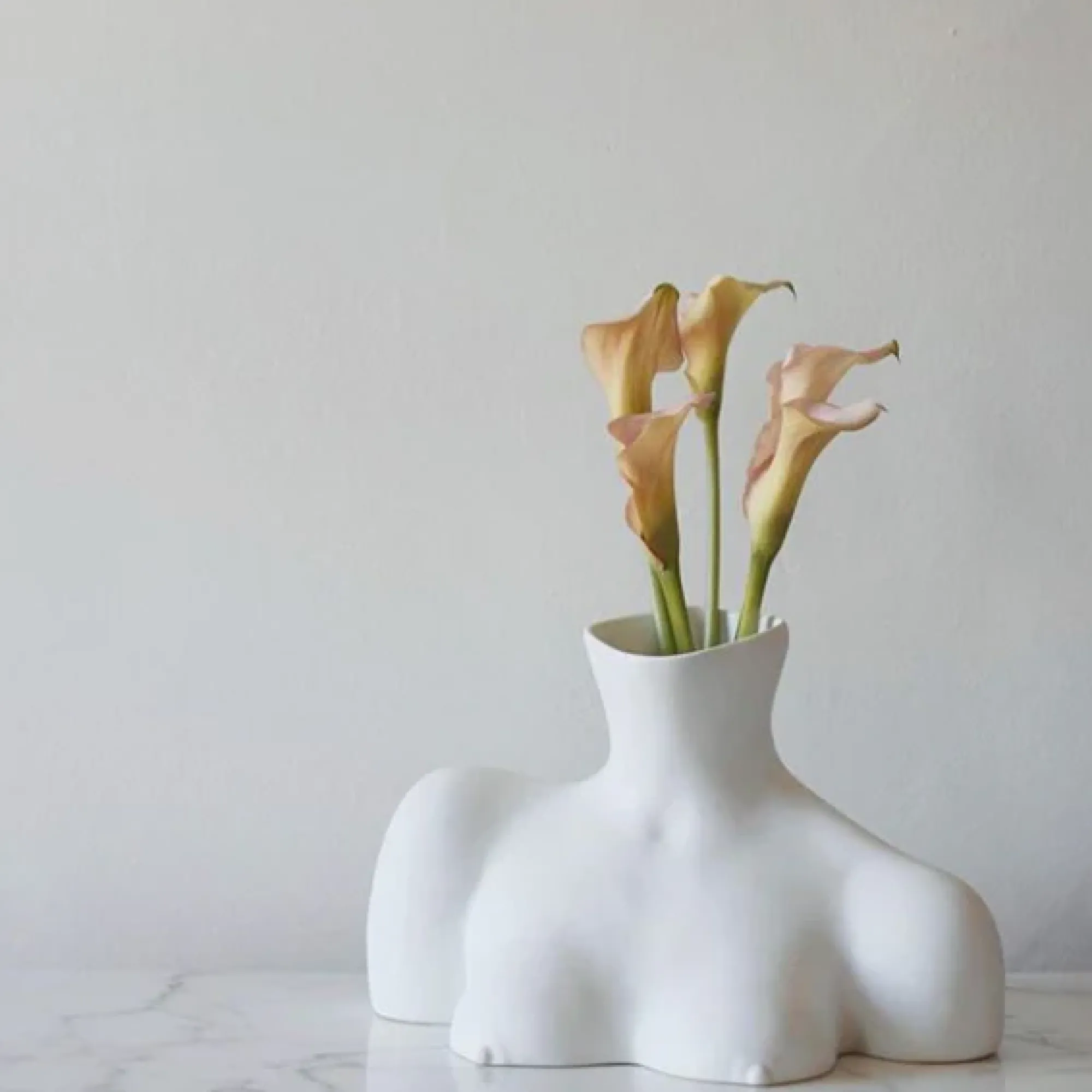 Anissa Kermiche Breast Friend Vase (Matte White) Outlet