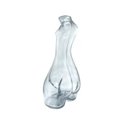 Anissa Kermiche Glass Carafe (Clear)