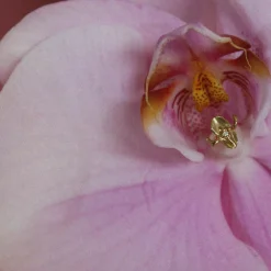 Anissa Kermiche Iris-Istible Stud Discount