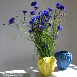 Anissa Kermiche Swanky-Panky Pot (Lemon) Hot